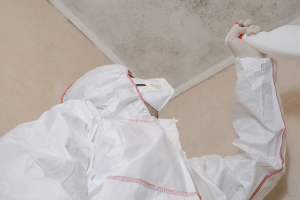 Best Crawl Space Mold Remediation in Lockhart, TX